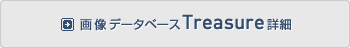 画像データベース Treasure詳細