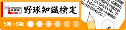 野球知識検定