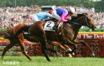 第７３回日本ダービーで優勝したメイショウサムソン＝東京競馬場（共同）